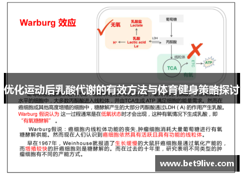 优化运动后乳酸代谢的有效方法与体育健身策略探讨