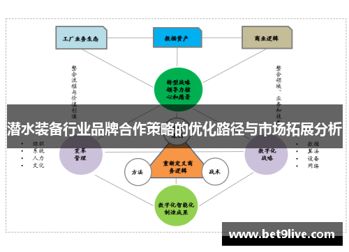 潜水装备行业品牌合作策略的优化路径与市场拓展分析